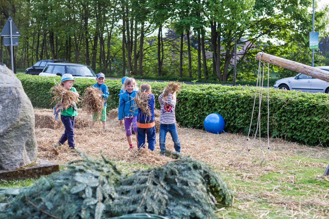 Bild 6 - Wiemersdorfer Maibaum